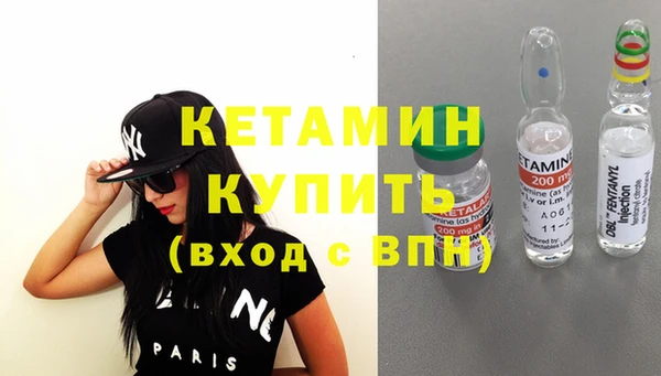 стаф Аркадак