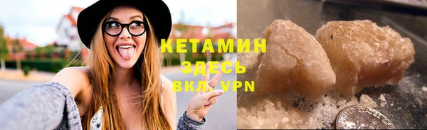 стаф Аркадак