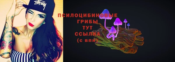 стаф Аркадак
