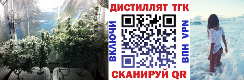 ТГК гашишное масло  Бабушкин 