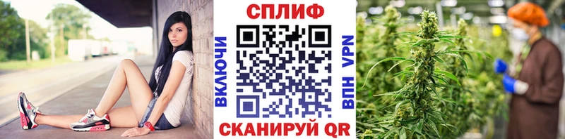 Канабис план  нарко площадка клад  Бабушкин 